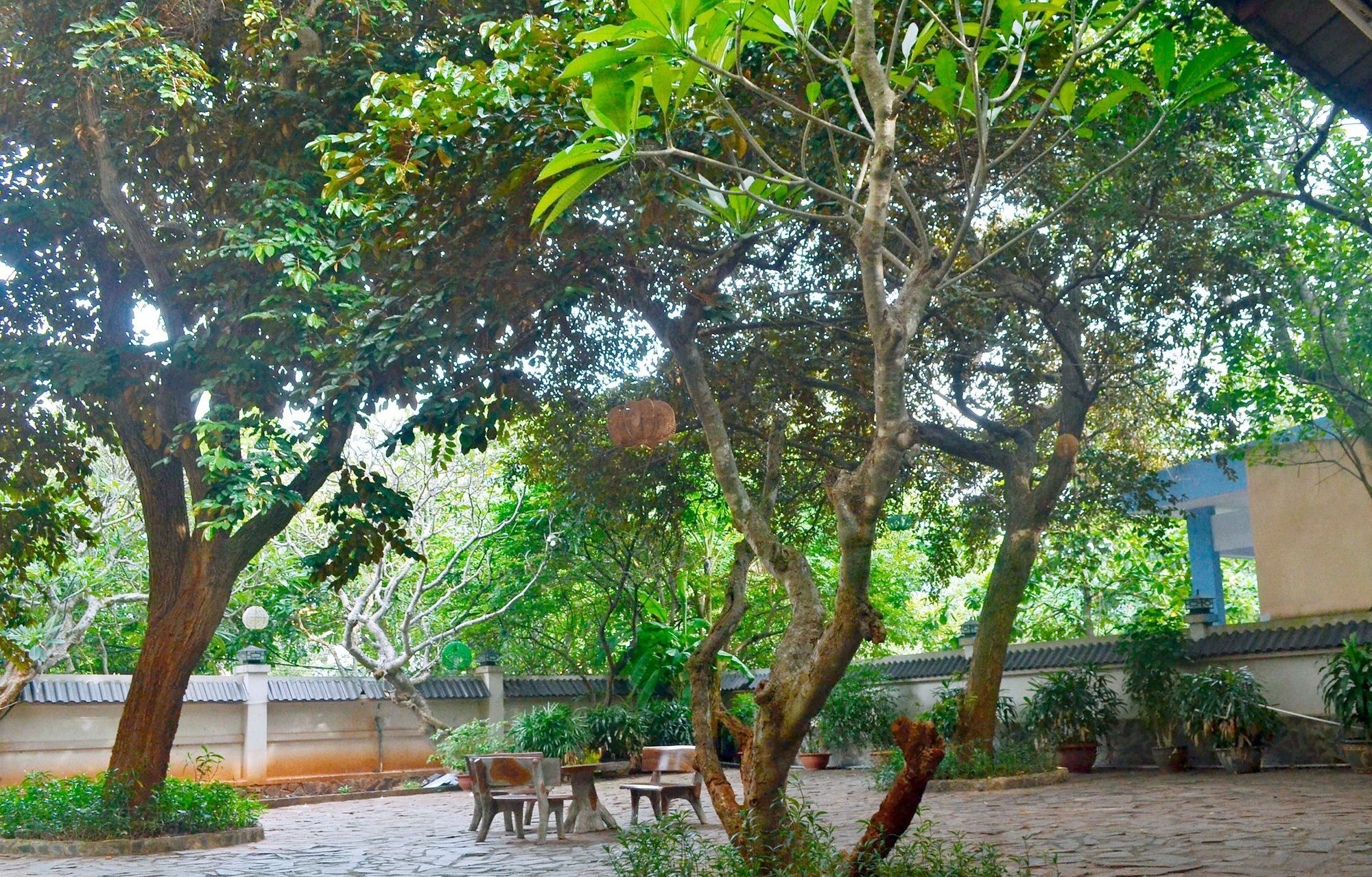 Lam Son Hotel & Apartments Vung Tau Exterior photo
